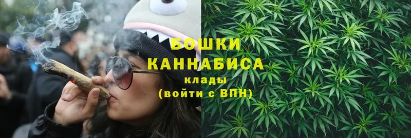 Бошки Шишки SATIVA & INDICA  цены наркотик  Анапа 